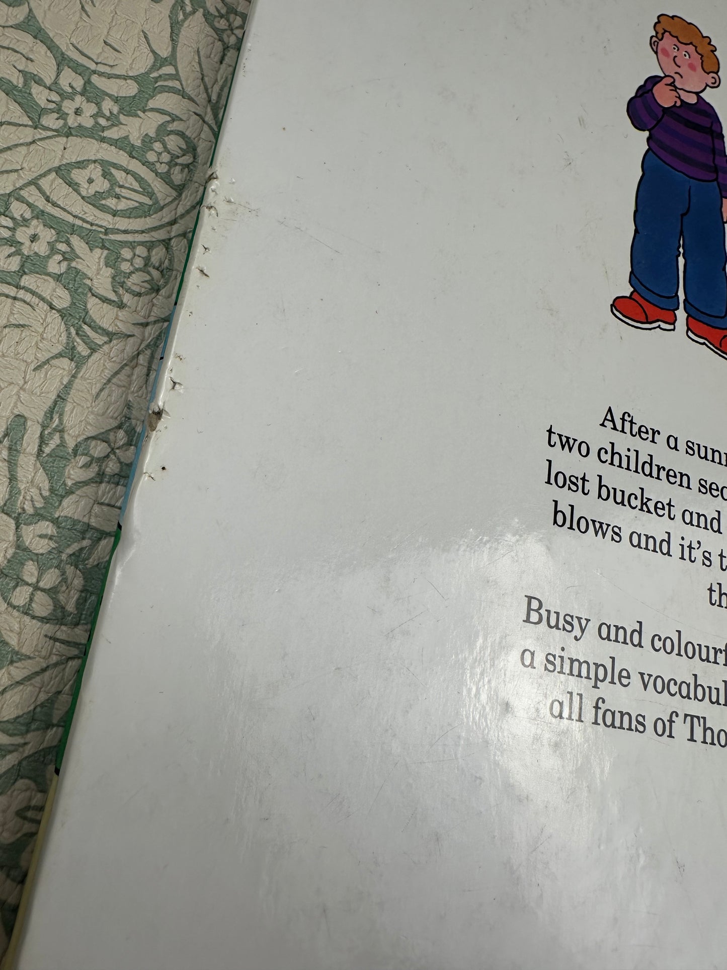 ‘Thomas’s Big Book of Words’ book