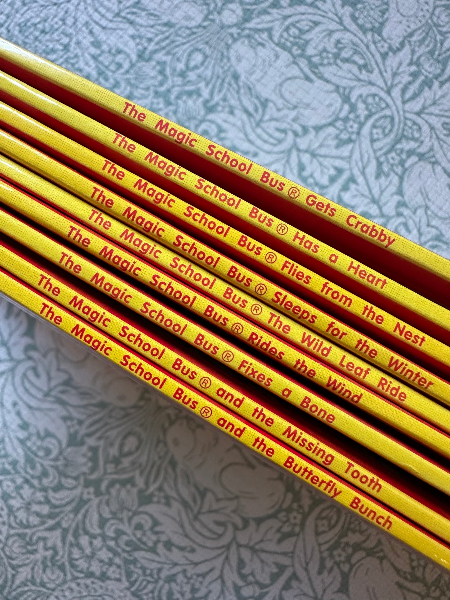 The Magic School Bus book bundle x9