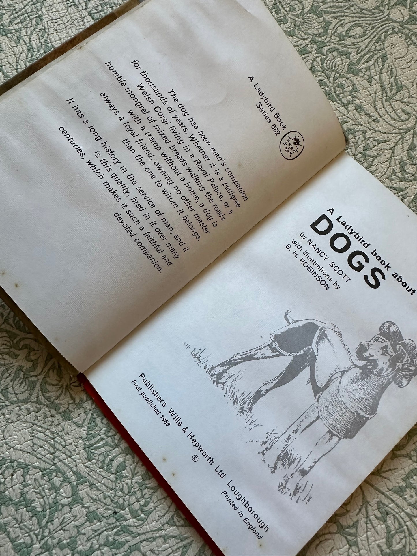Vintage Ladybird ‘Dogs’ book