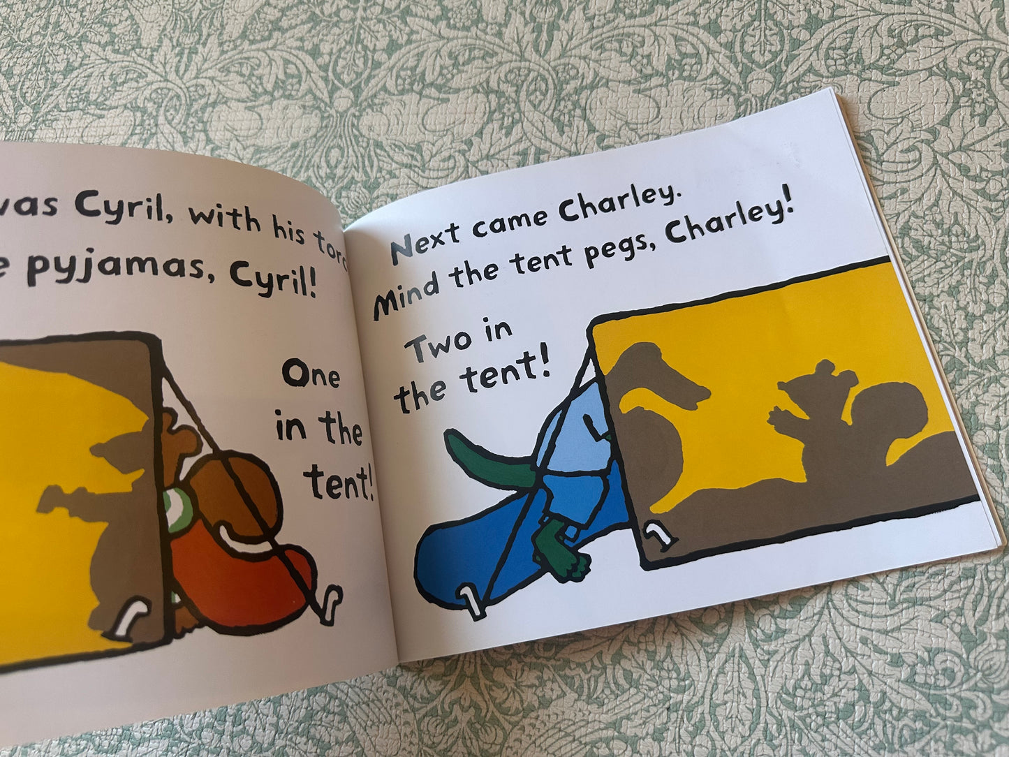 ‘Maisy Goes Camping’ book