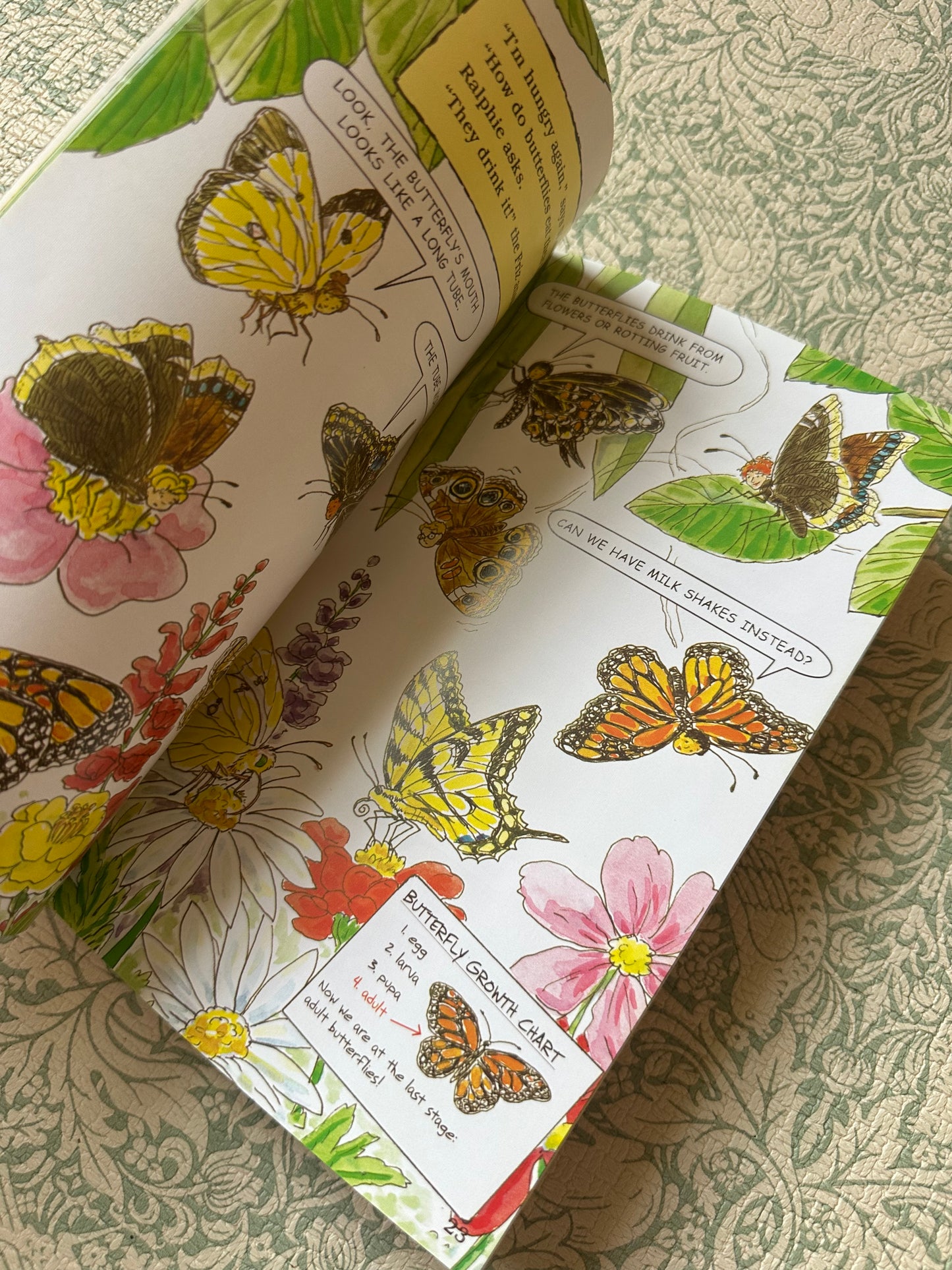 The Magic School Bus book bundle x9