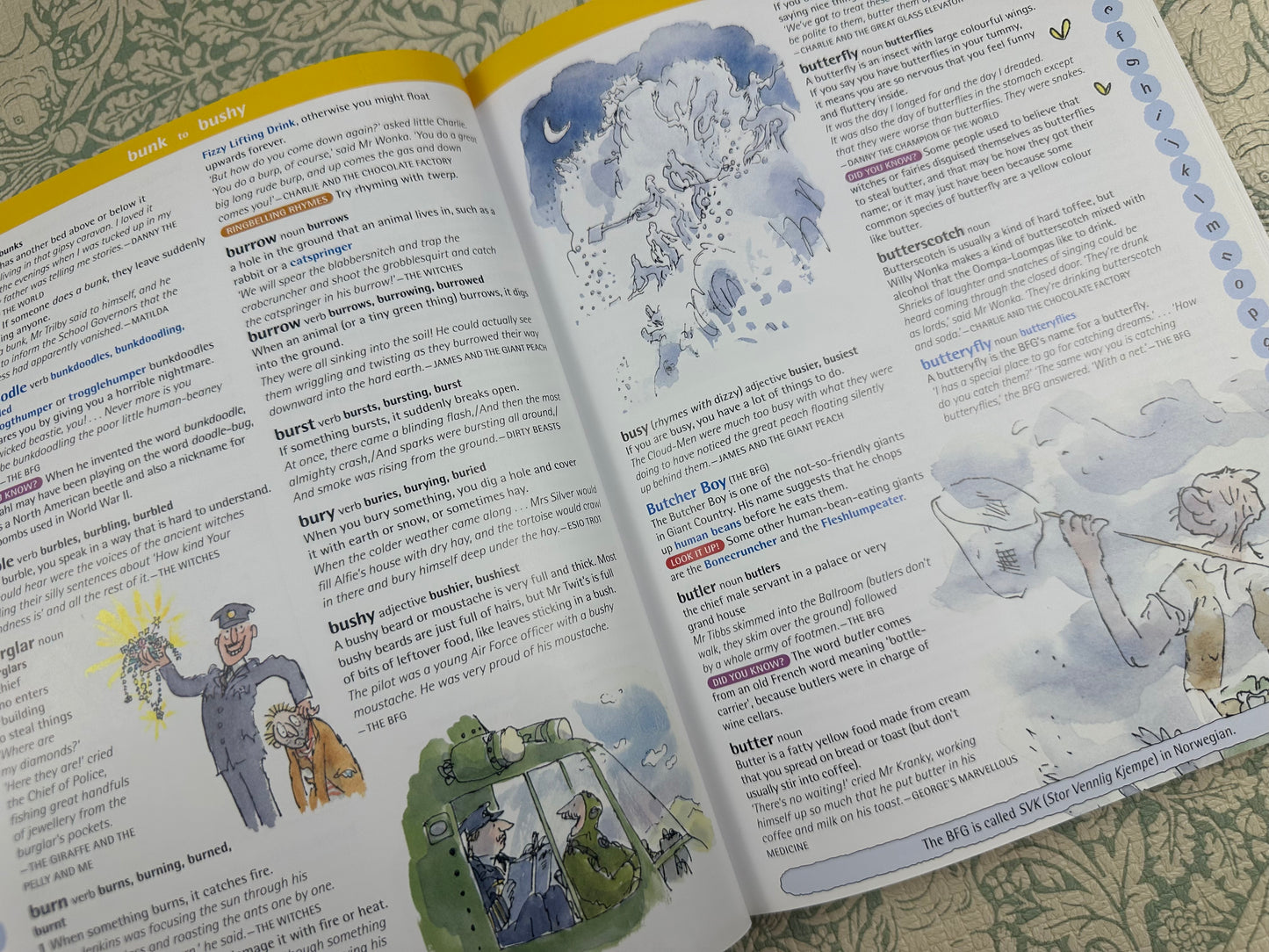 Road Dahl Oxford Dictionary