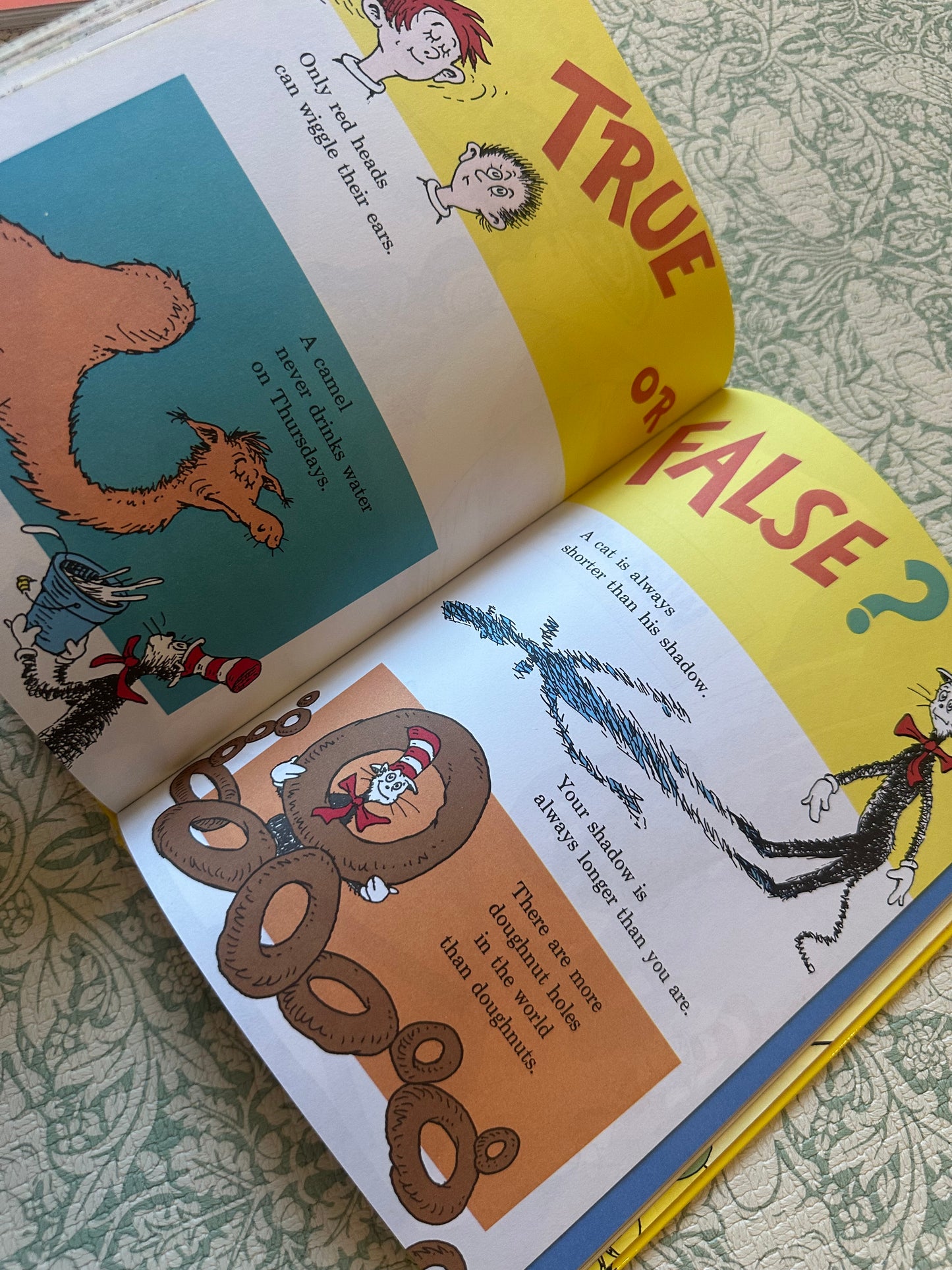 Dr. Seuss ‘Rhymes, Riddles and Nonsense’ book