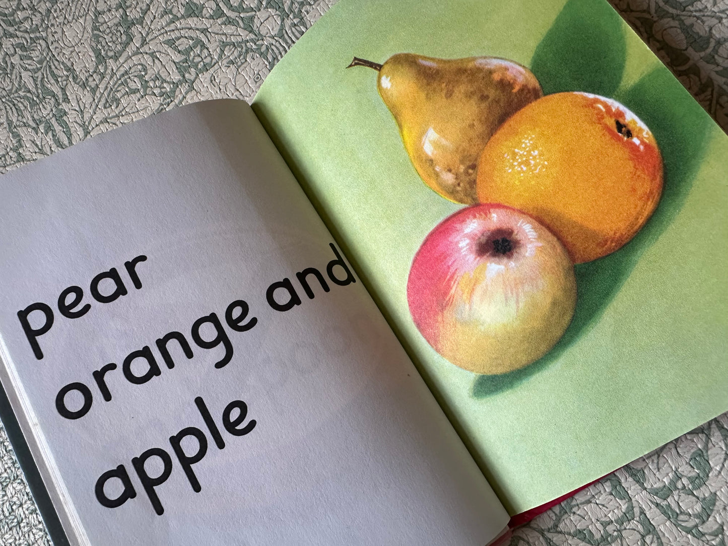 Vintage ‘Baby’s first book’