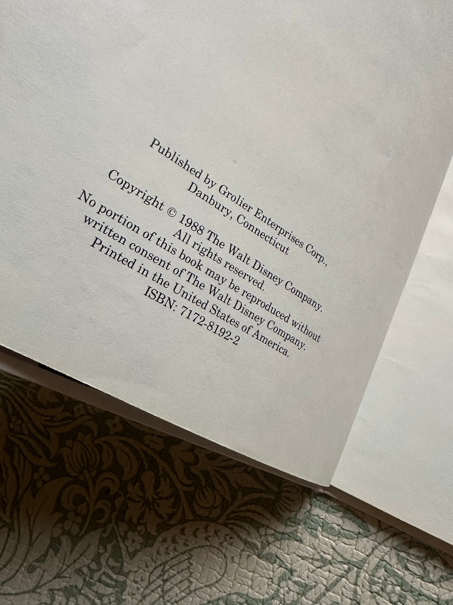 Goofy the Babysitter book