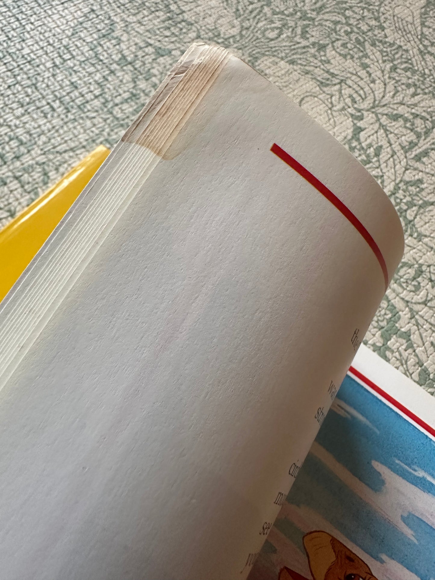 The Land Before Time book