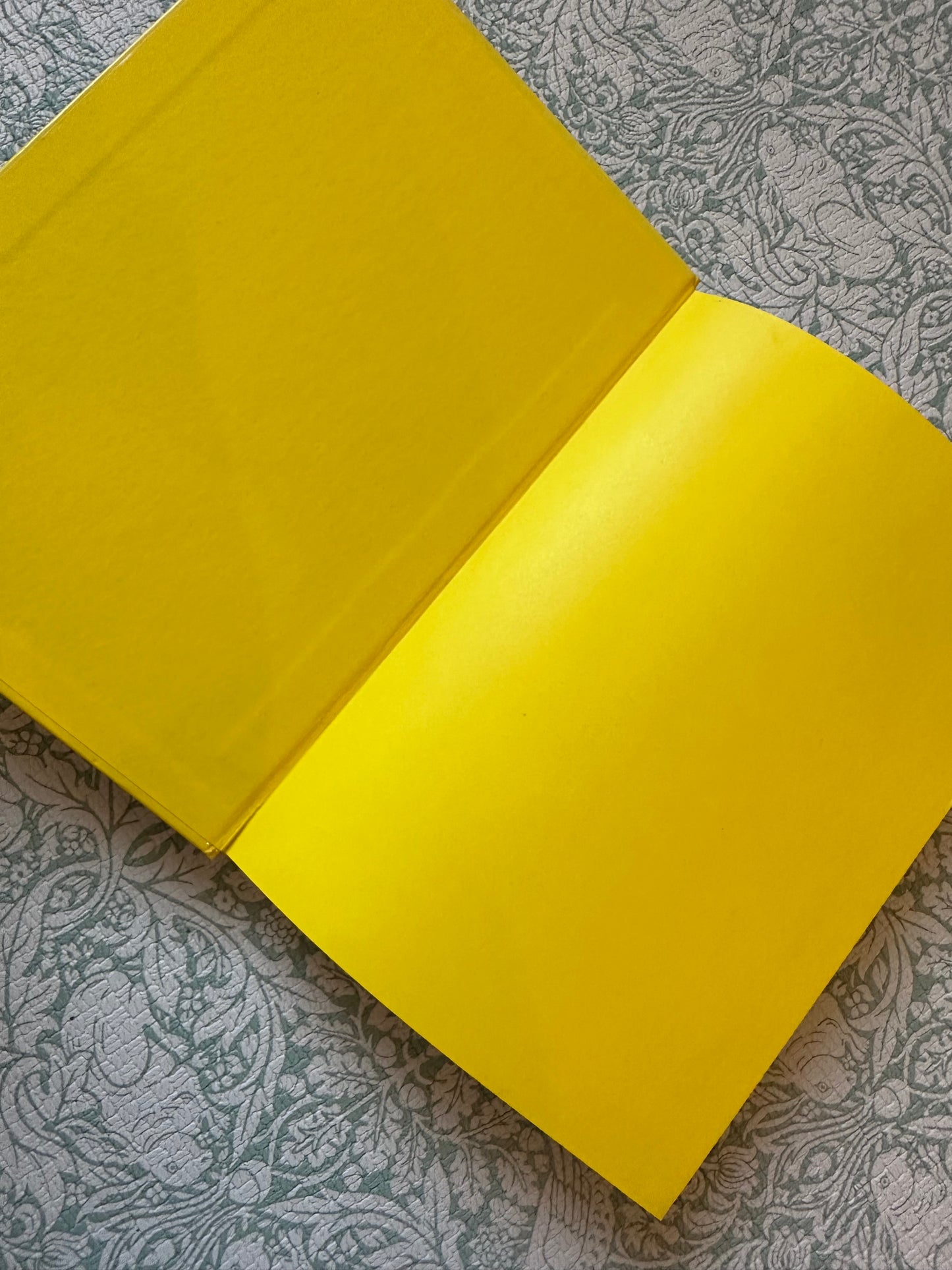 Dr. Seuss ‘Rhymes, Riddles and Nonsense’ book