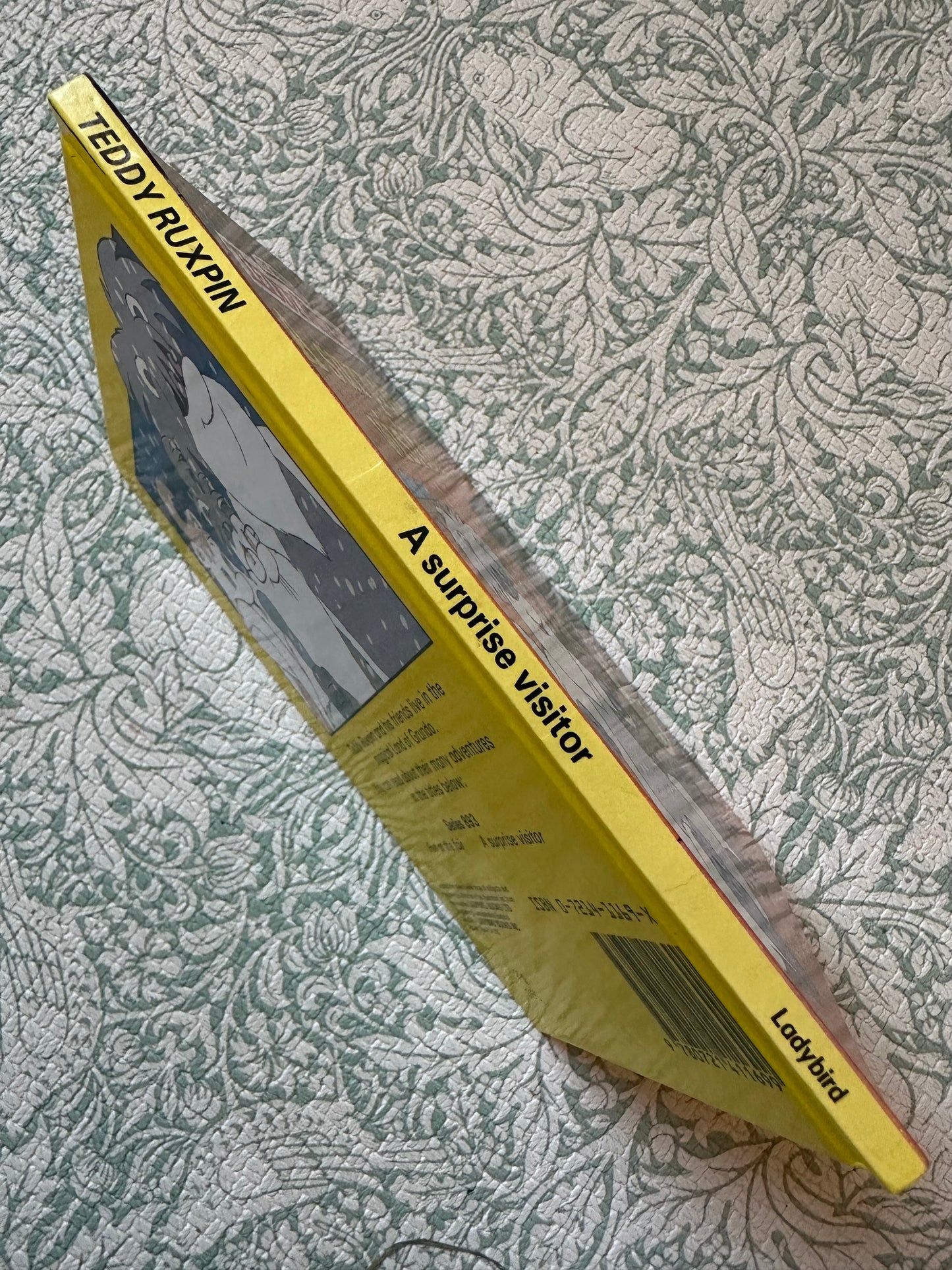 Vintage Ladybird ‘A Surprise Visitor’ book