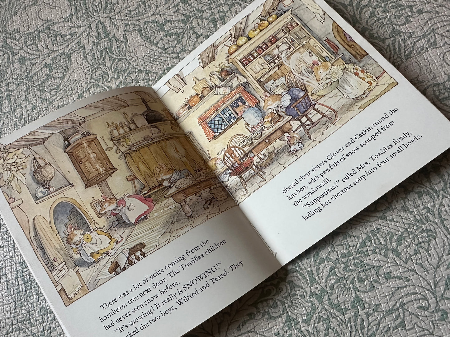 Brambly Hedge Winter Story book