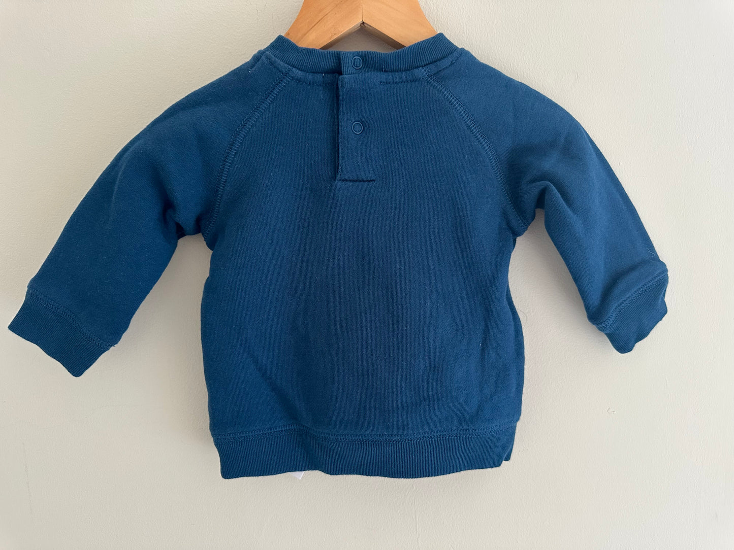 Stella McCartney jumper 3 months