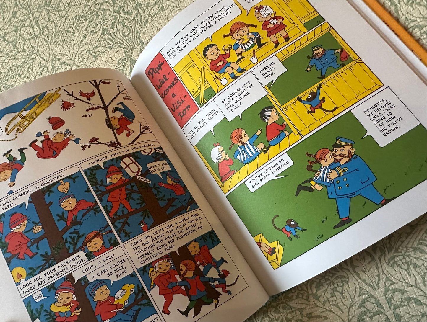 Pippi Fixes Everything book