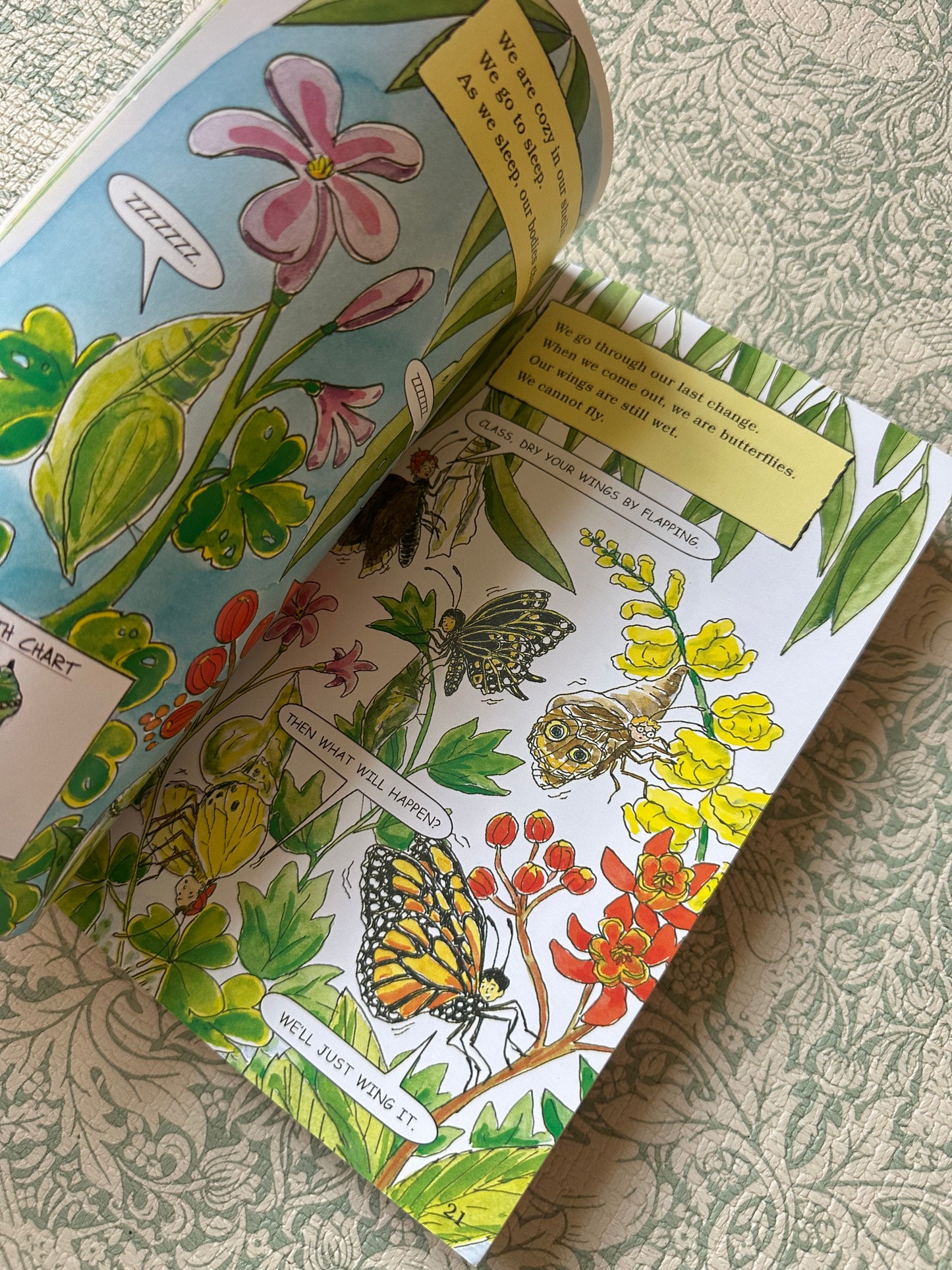 The Magic School Bus book bundle x9