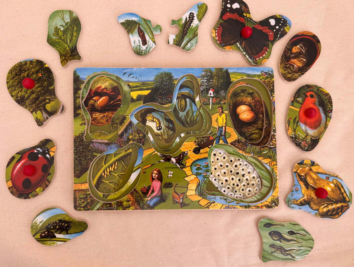 Wooden peg puzzle