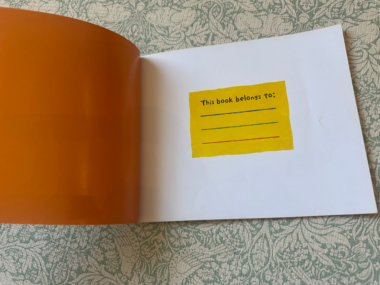 ‘Maisy Goes Camping’ book