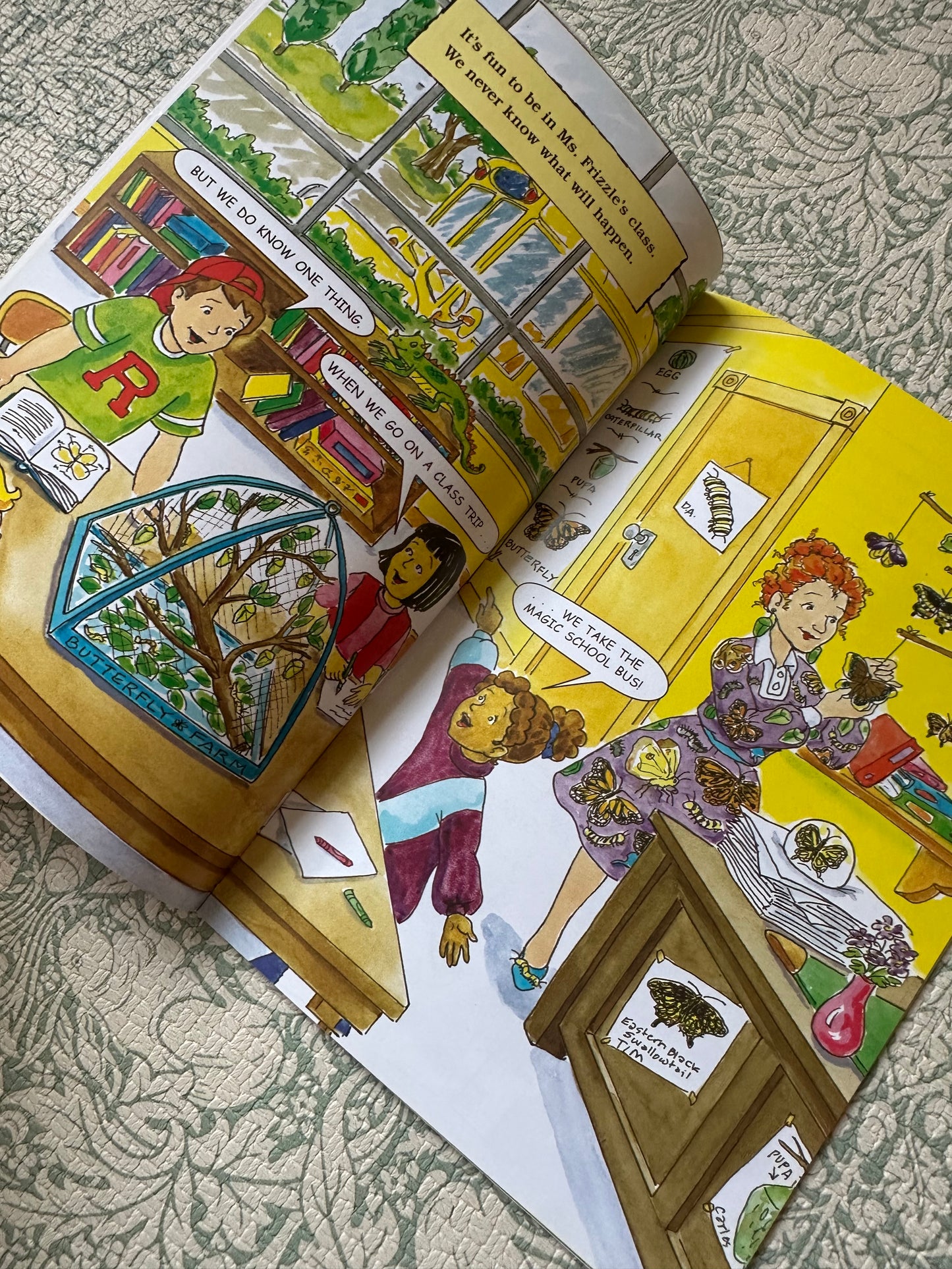 The Magic School Bus book bundle x9