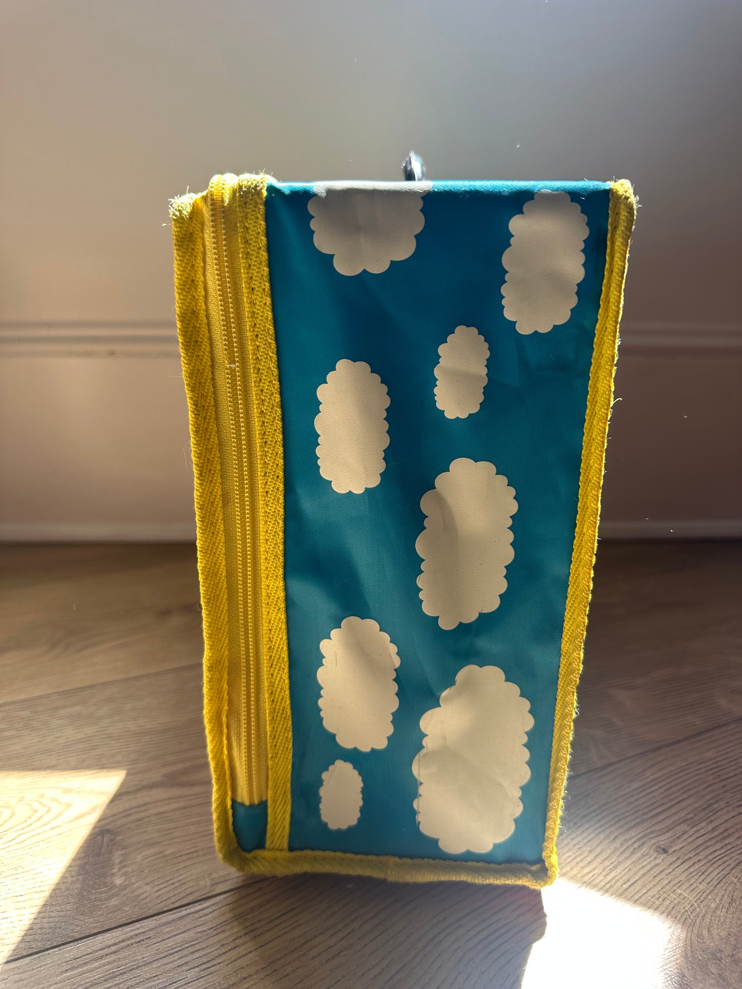 Vintage Thomas the Tank Engine case