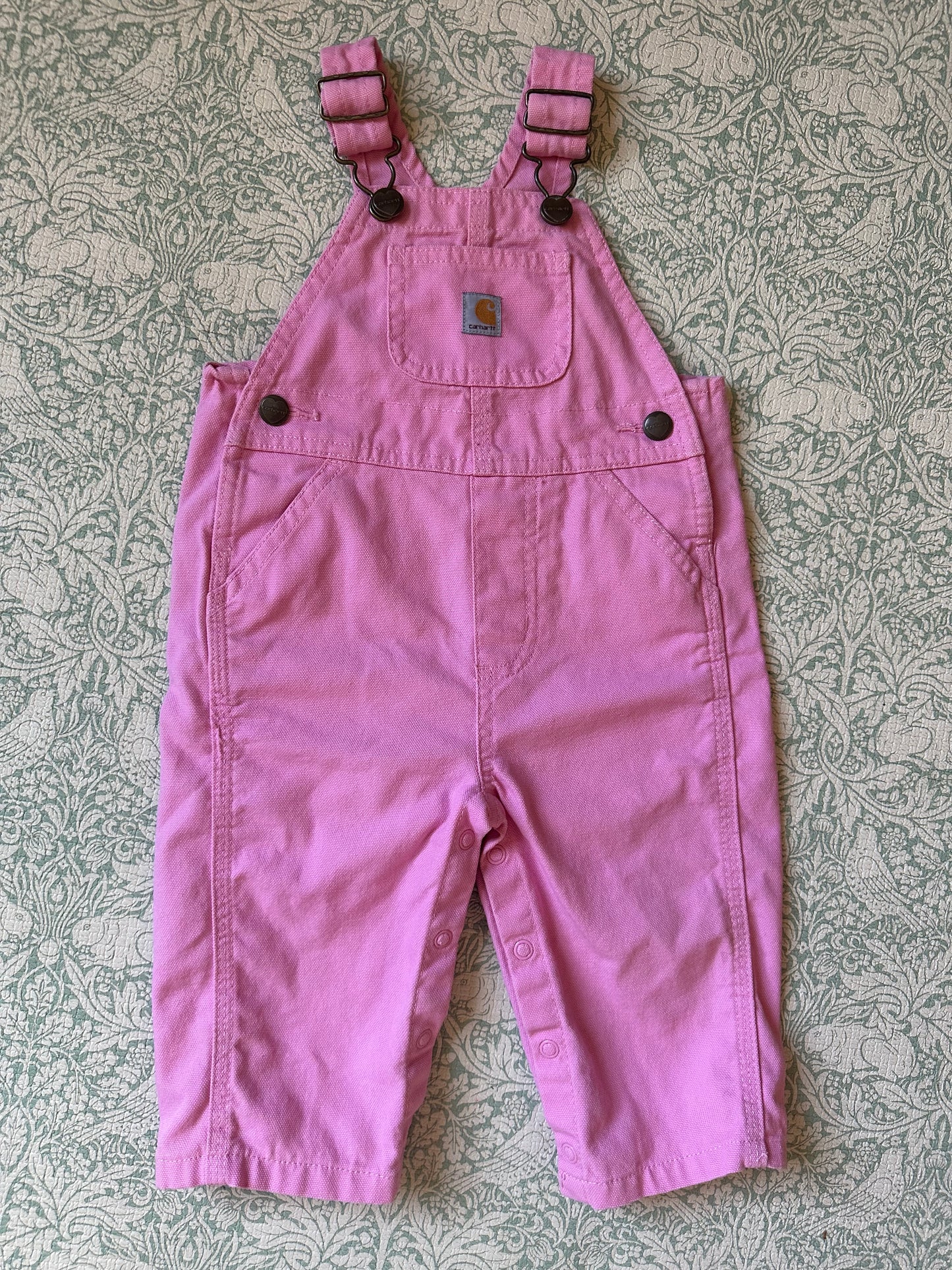 Carhartt overalls 9 months