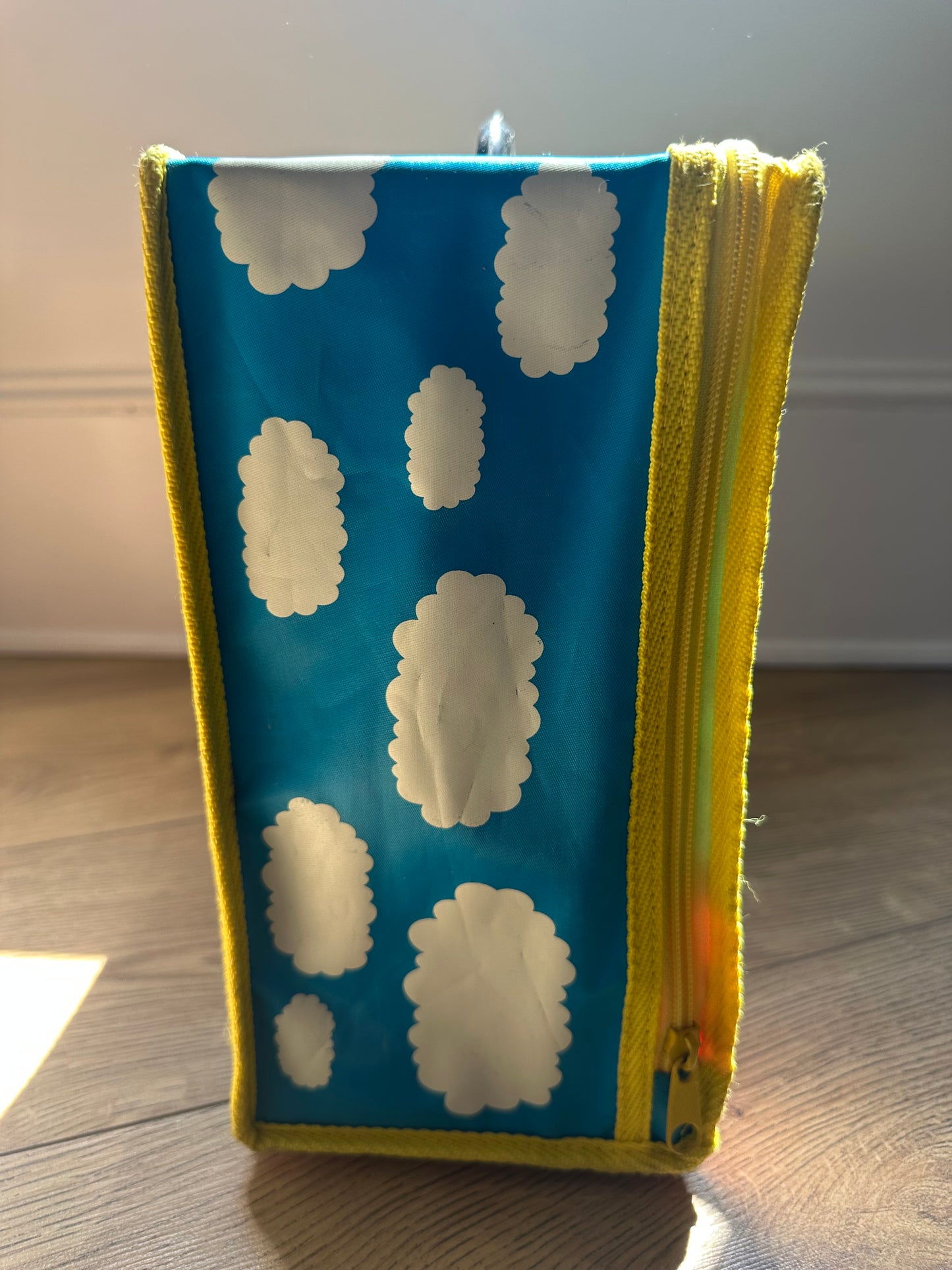 Vintage Thomas the Tank Engine case