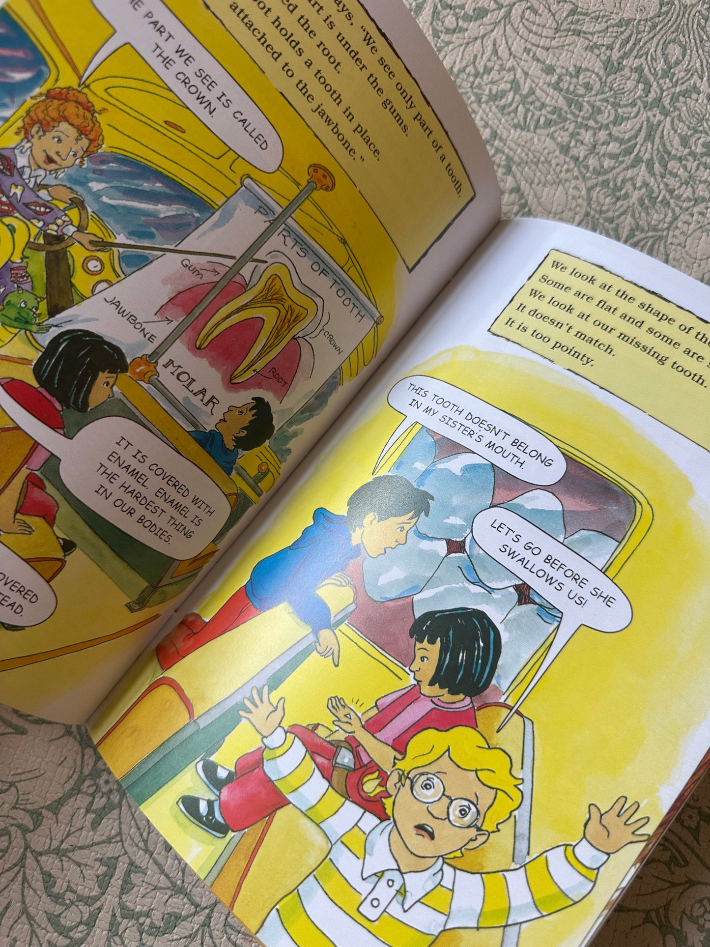 The Magic School Bus book bundle x9
