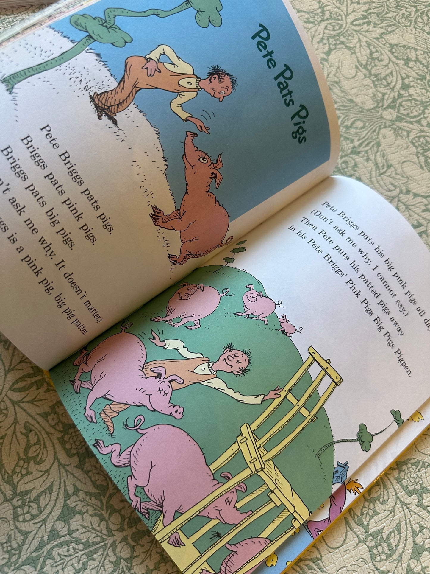 Dr. Seuss ‘Rhymes, Riddles and Nonsense’ book