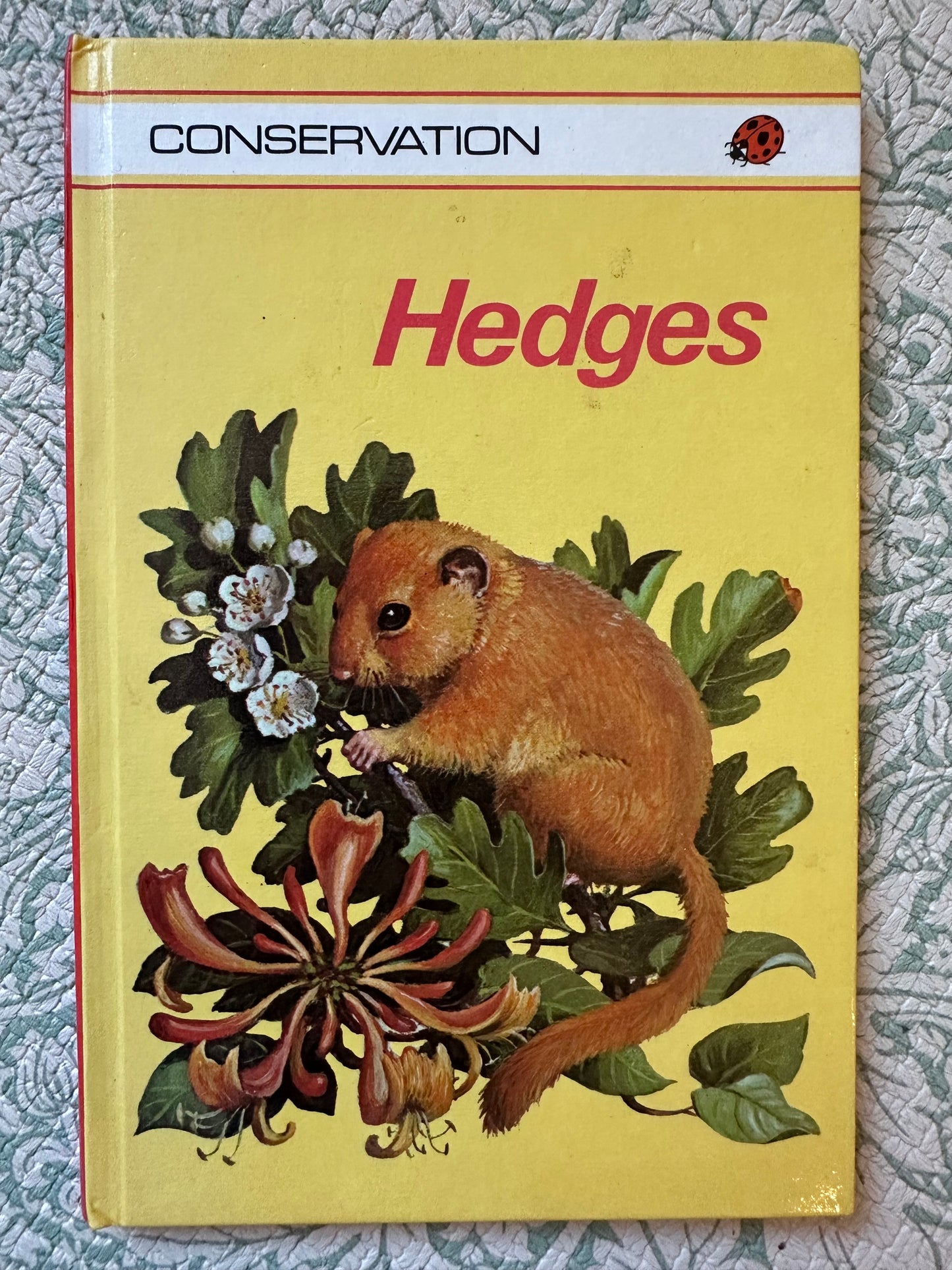 Vintage Ladybird ‘Hedges’ book