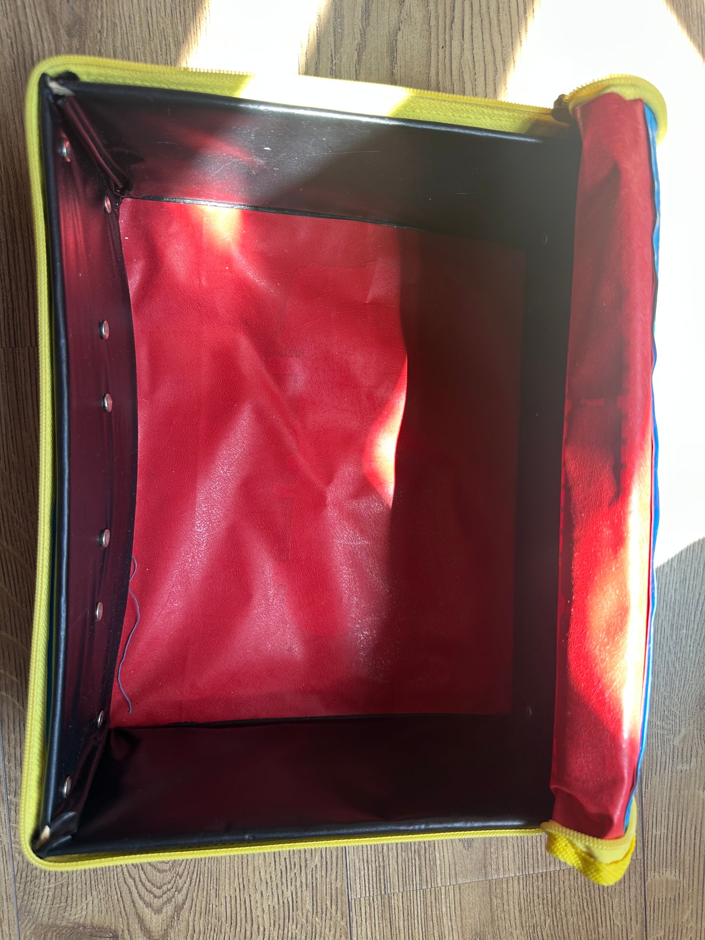 Vintage Thomas the Tank Engine case