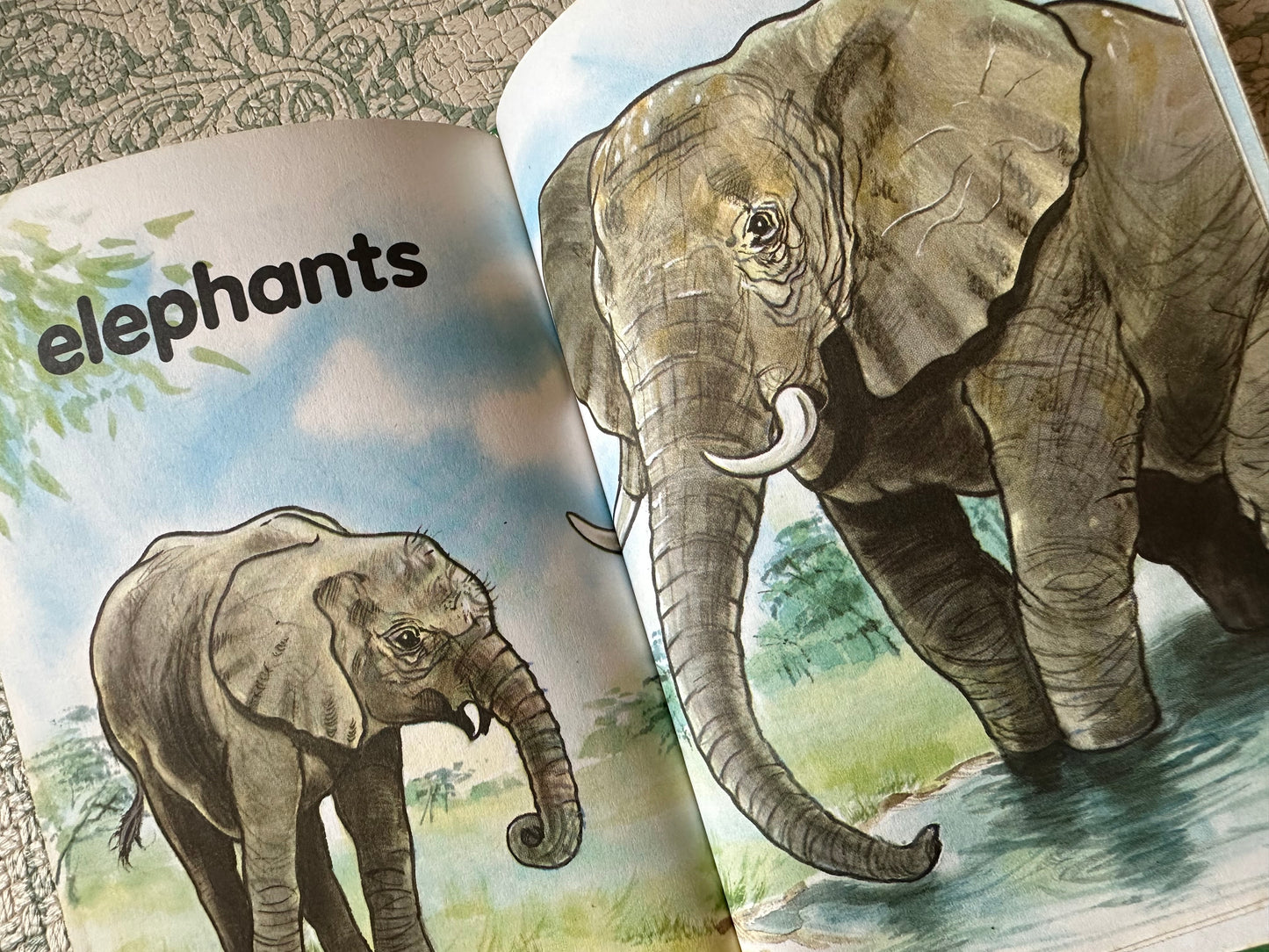 Vintage First picture book ‘Animals’