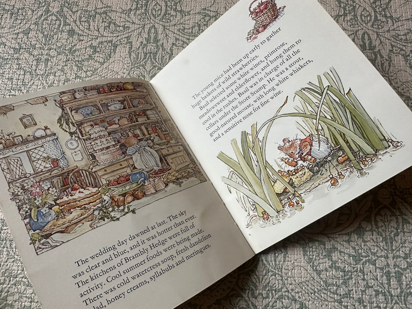 Brambly Hedge Summer Story book