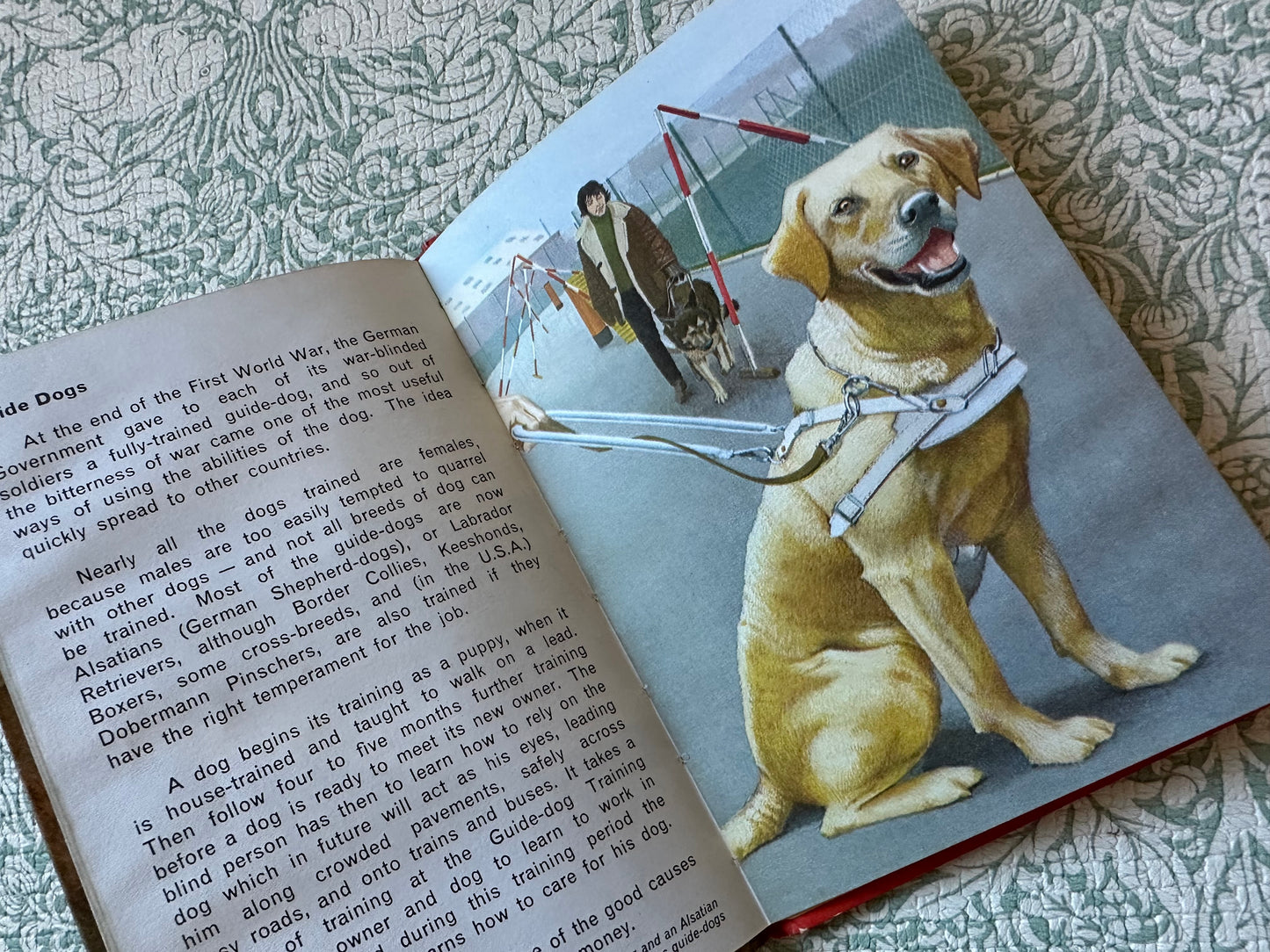 Vintage Ladybird ‘Dogs’ book