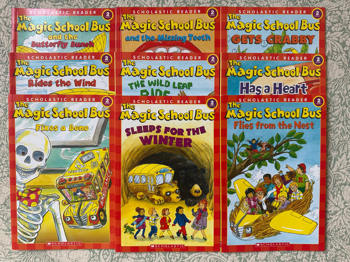 The Magic School Bus book bundle x9