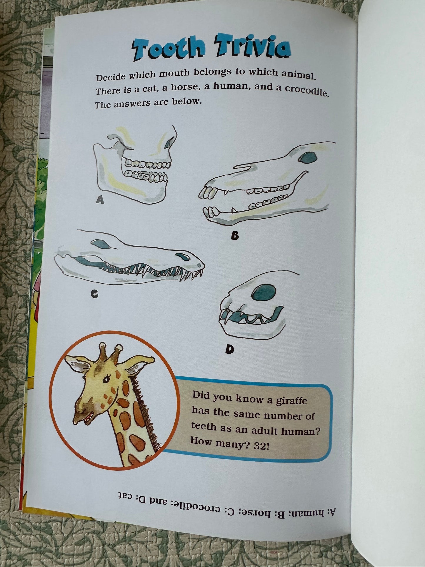 The Magic School Bus book bundle x9