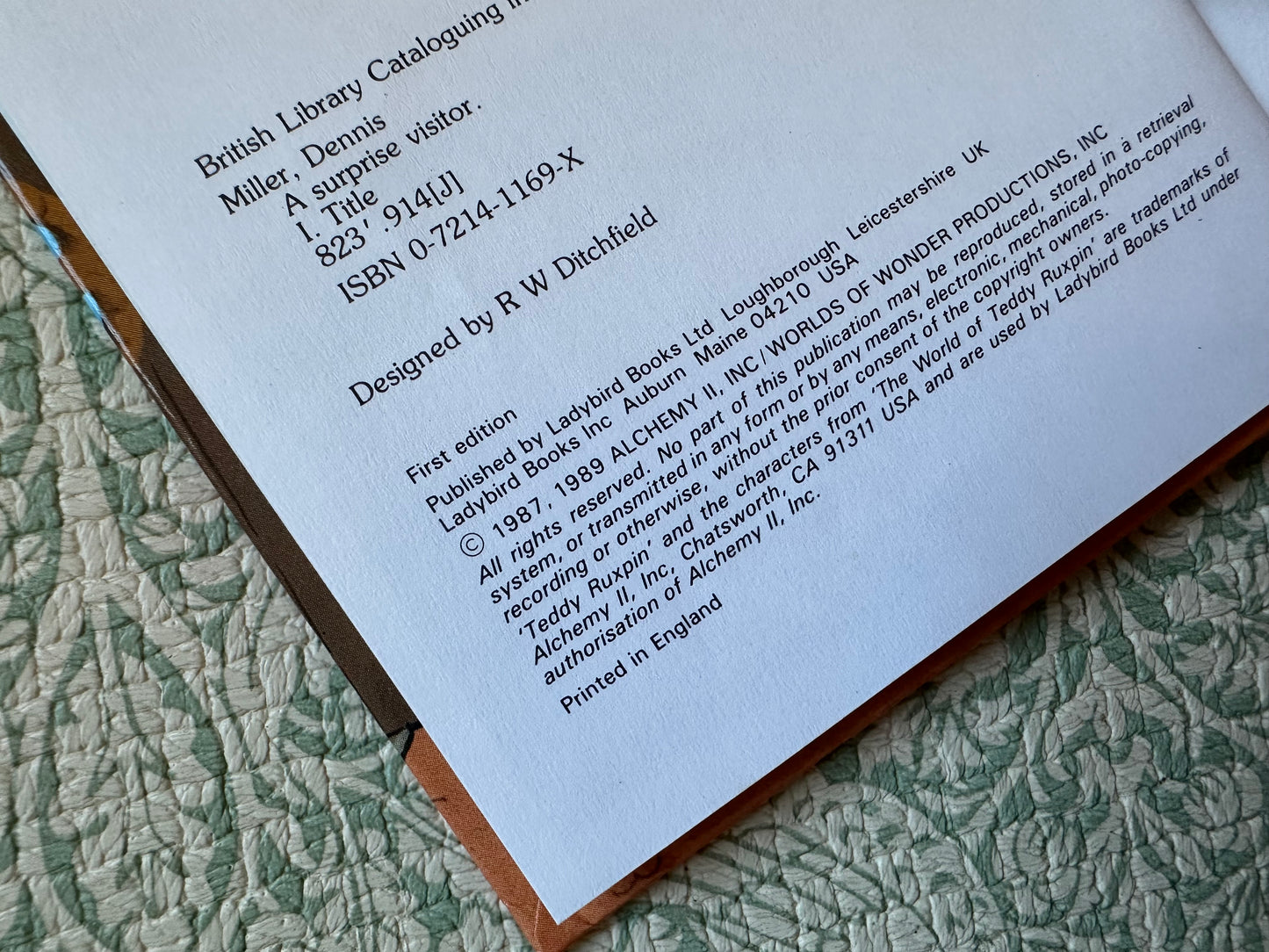 Vintage Ladybird ‘A Surprise Visitor’ book