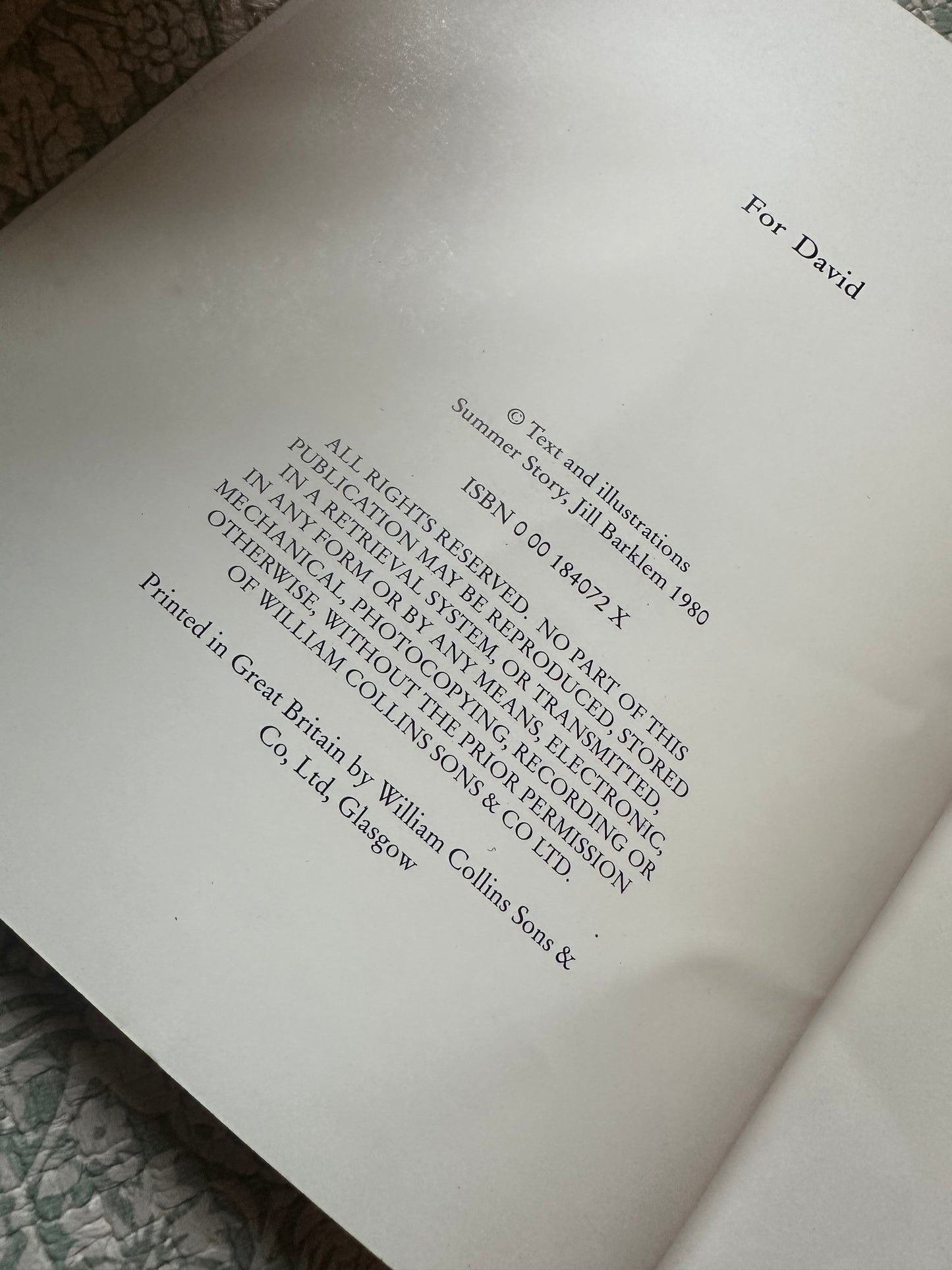 Brambly Hedge Summer Story book