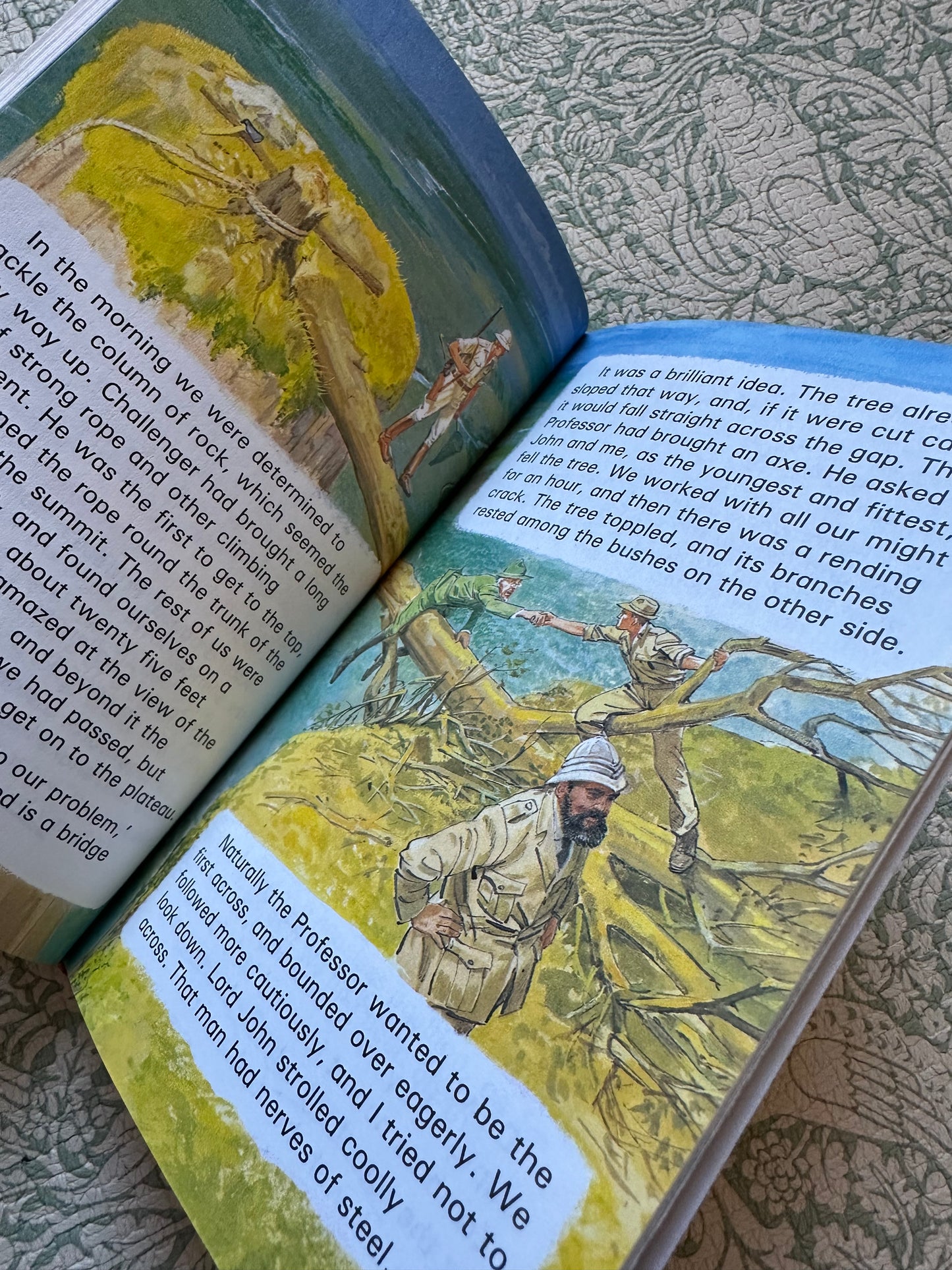 Vintage ‘The Lost World’ Ladybird book