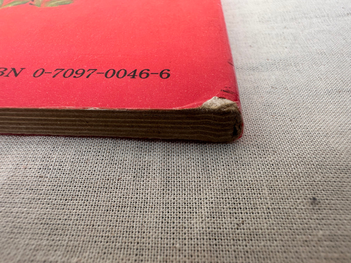 Vintage Playtime book