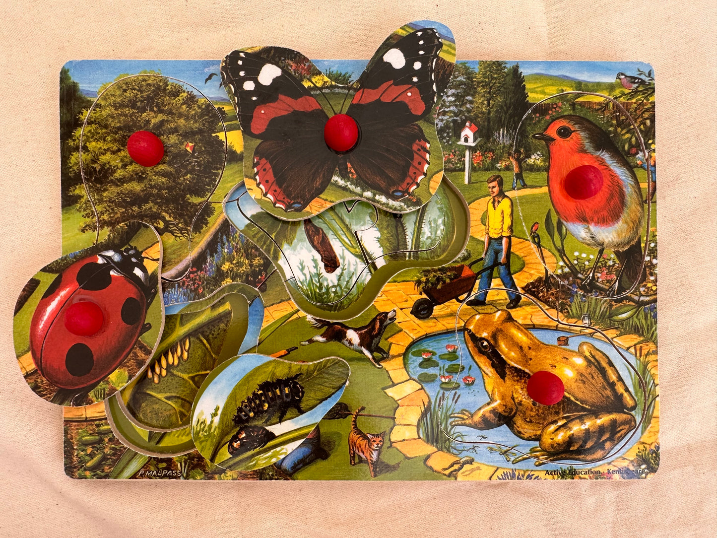 Wooden peg puzzle