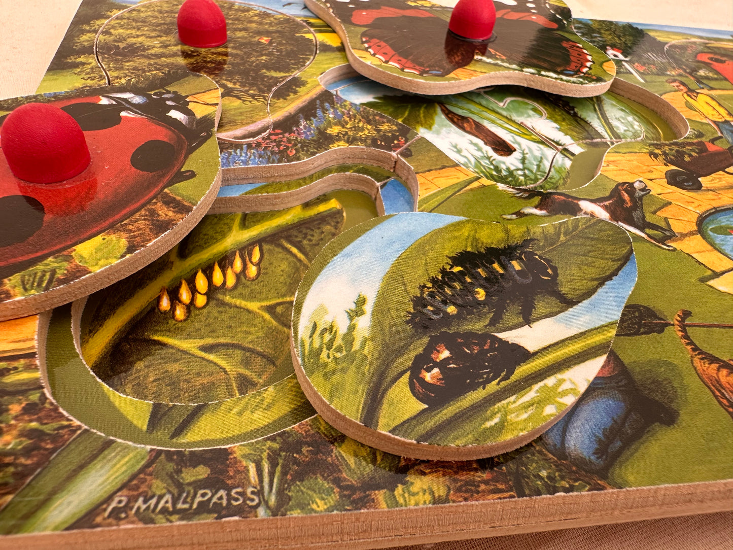 Wooden peg puzzle