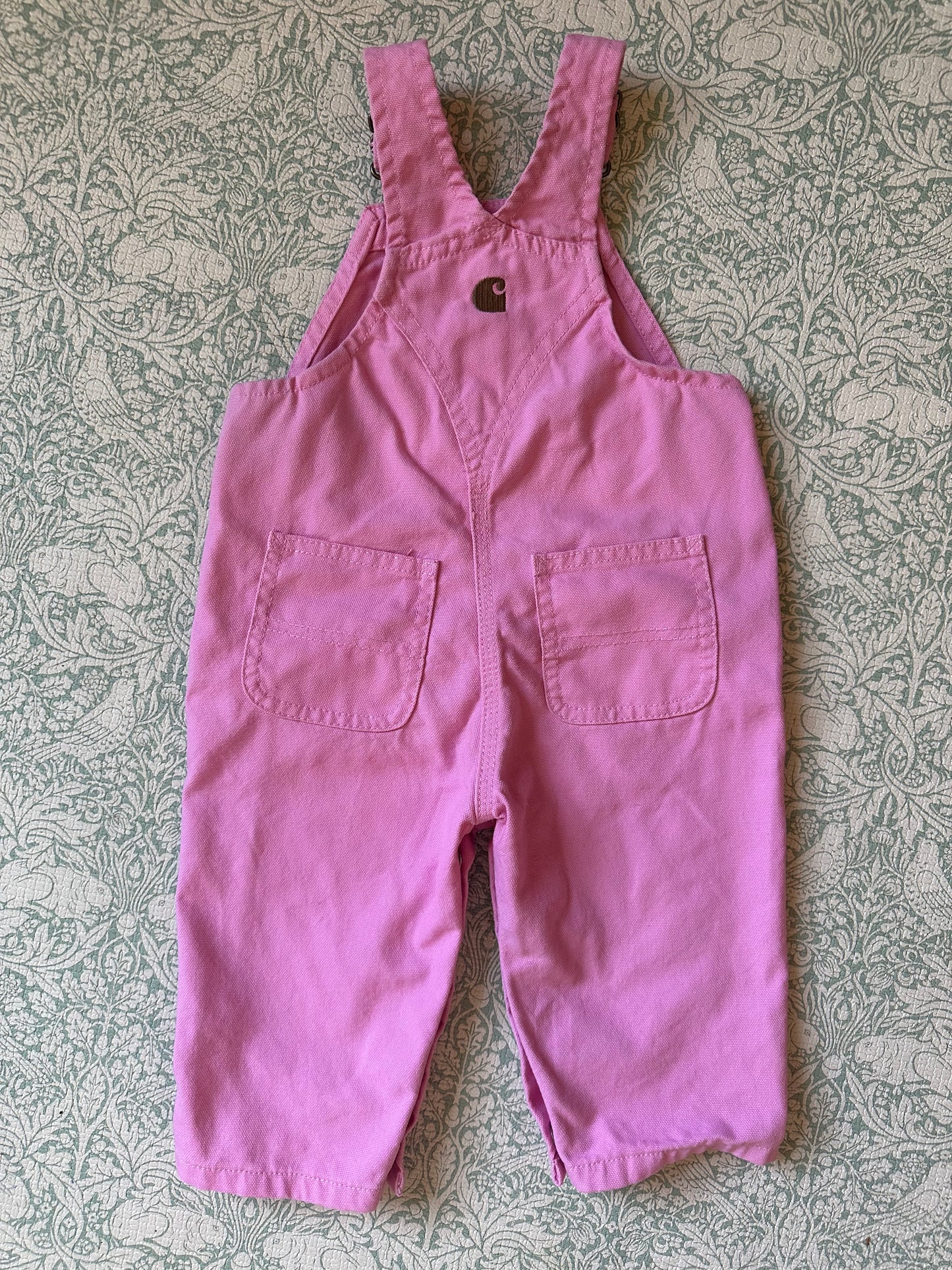 Carhartt overalls 9 months