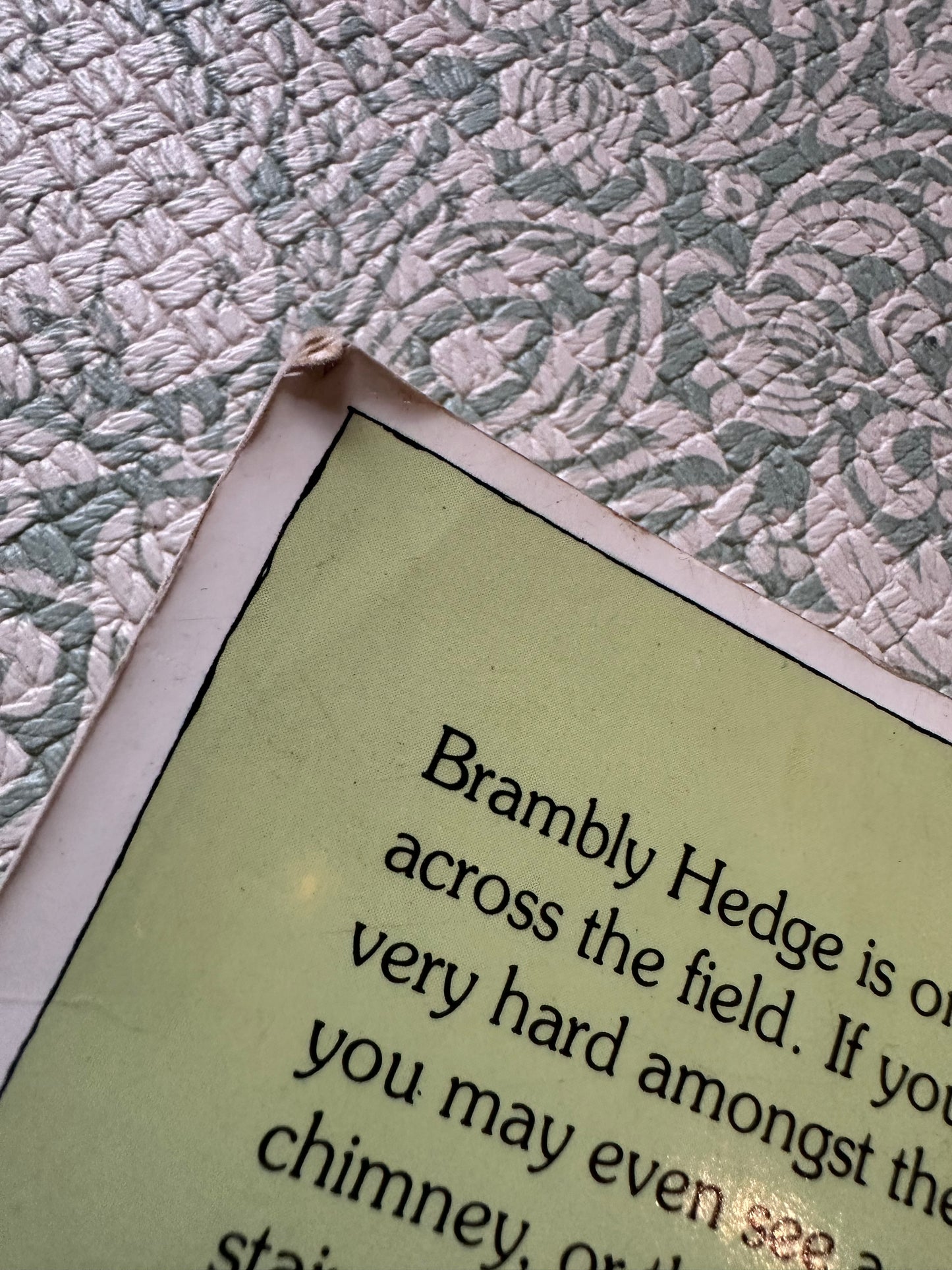 Brambly Hedge Summer Story book