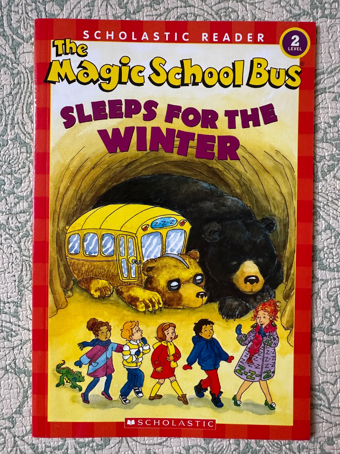 The Magic School Bus book bundle x9
