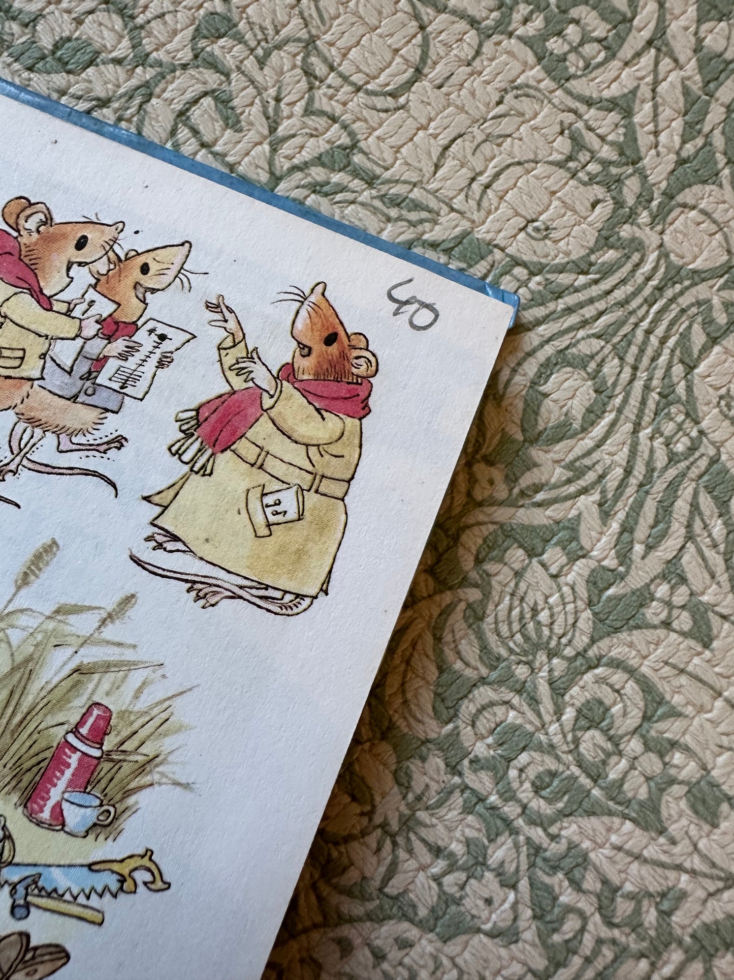 Vintage Ladybird ‘The Wind in the Willows’ book