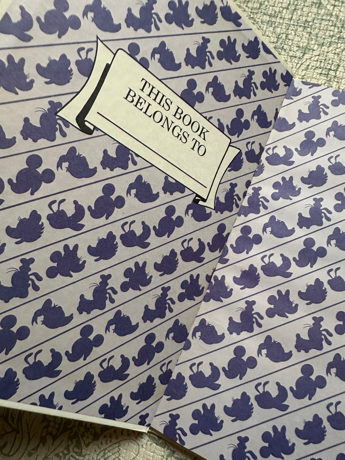 Goofy the Babysitter book