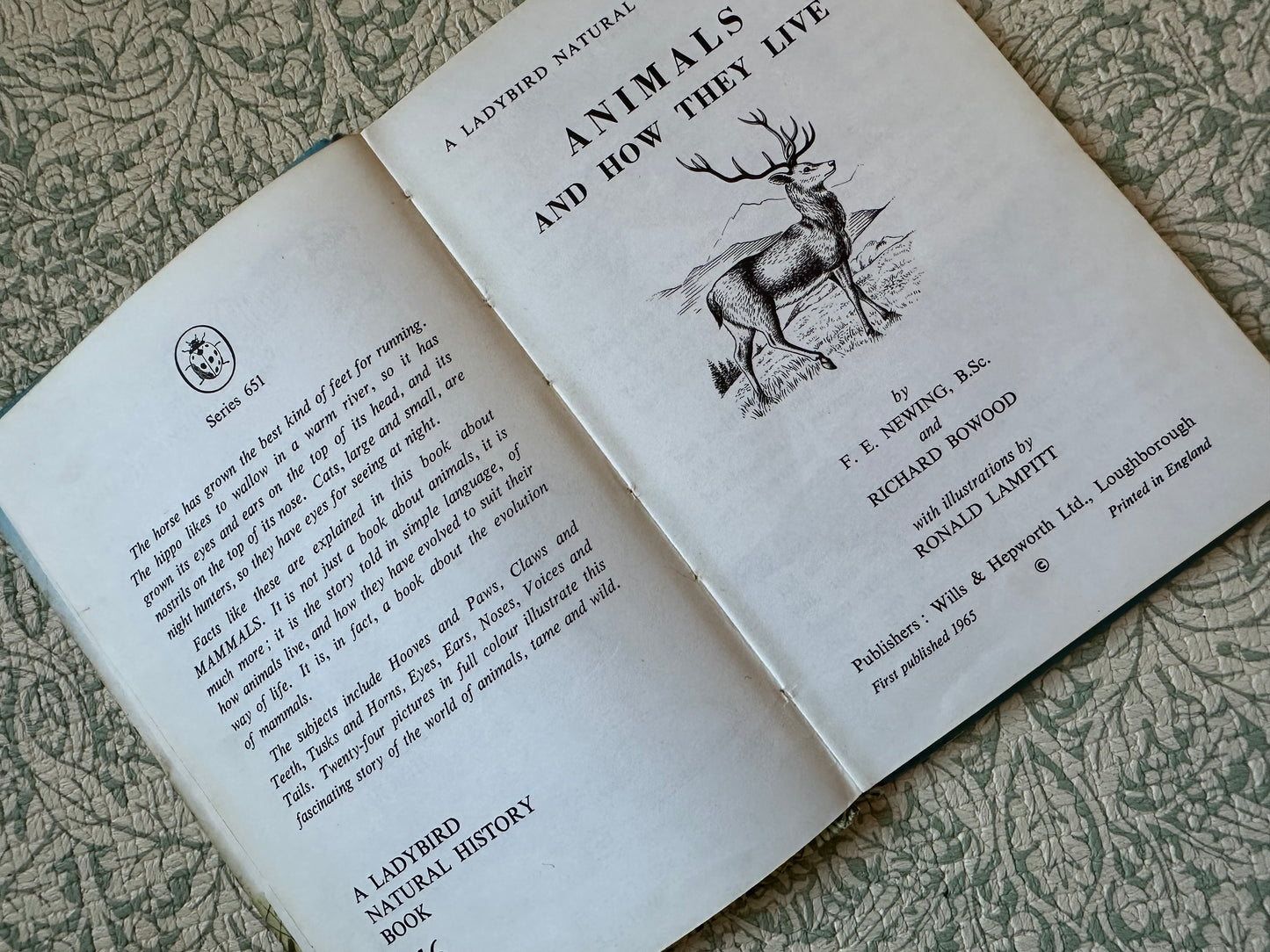 Vintage Ladybird ‘Animals’ book