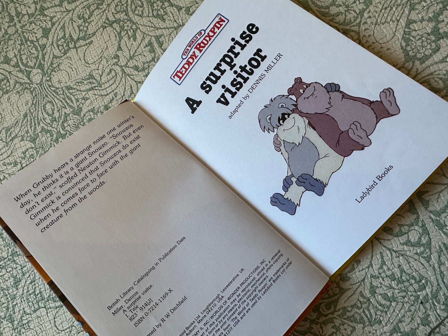 Vintage Ladybird ‘A Surprise Visitor’ book